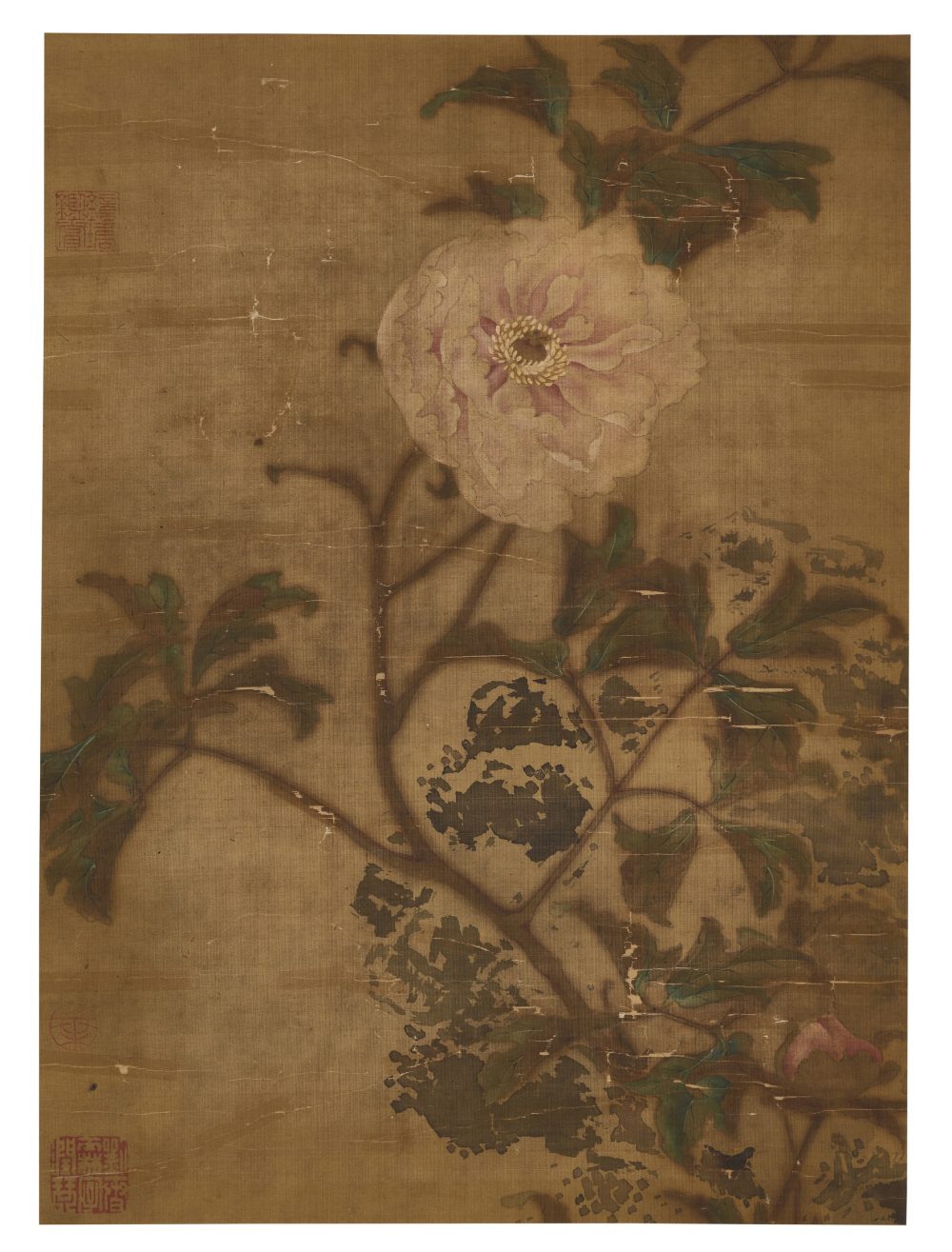 宋人作國色天香圖
